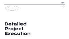 Radiance Detailed Project Execution Plan Presentation