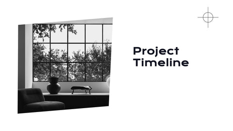 Radiance Detailed Project Execution Plan Presentation