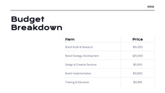 Radiance Detailed Project Execution Plan Presentation slide 12