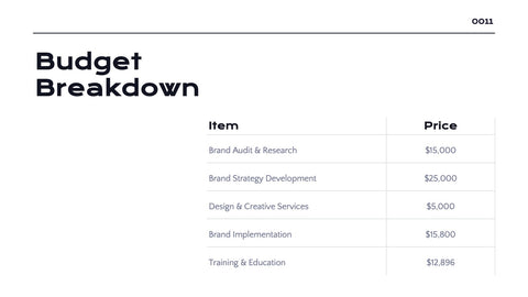 Radiance Detailed Project Execution Plan Presentation