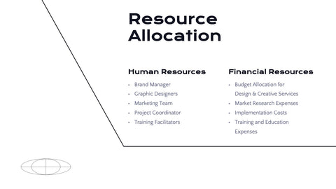 Radiance Detailed Project Execution Plan Presentation