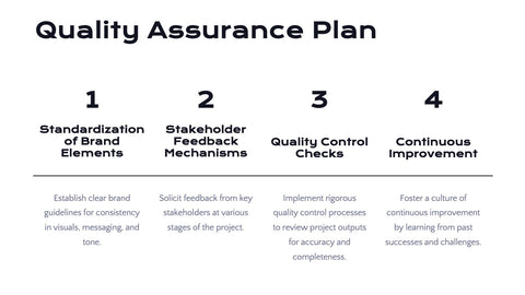 Radiance Detailed Project Execution Plan Presentation