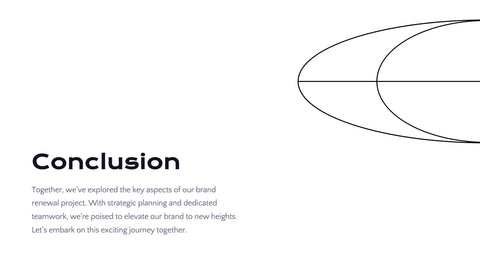 Radiance Detailed Project Execution Plan Presentation