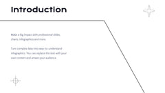 Radiance Detailed Project Execution Plan Presentation slide 2