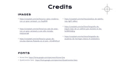 Radiance Detailed Project Execution Plan Presentation slide 21
