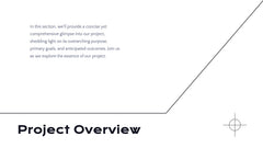 Radiance Detailed Project Execution Plan Presentation slide 3