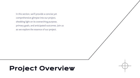 Radiance Detailed Project Execution Plan Presentation