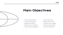 Radiance Detailed Project Execution Plan Presentation slide 5