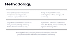 Radiance Detailed Project Execution Plan Presentation slide 9