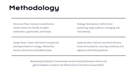 Radiance Detailed Project Execution Plan Presentation