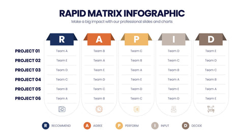 RAPID Matrix Infographics