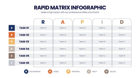 RAPID Matrix Infographics