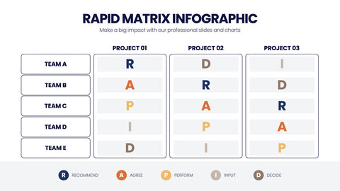 RAPID Matrix Infographics