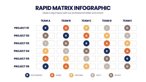 RAPID Matrix Infographics