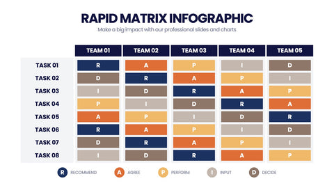 RAPID Matrix Infographics