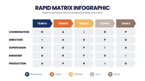 RAPID Matrix Infographics
