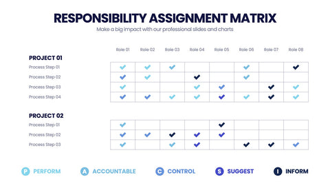 Responsibility Assignment Matrix Infographics