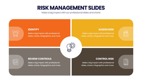 Risk Management Infographics