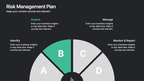 Risk Management Plan Presentation