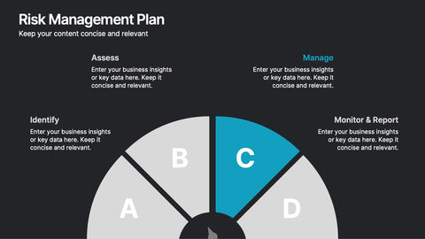 Risk Management Plan Presentation