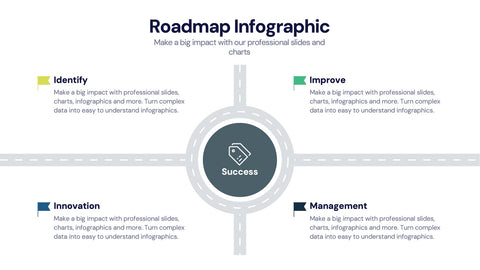 Roadmap Infographics