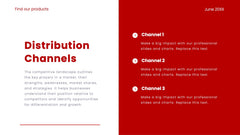 Solstice Product Launch Presentation slide 13