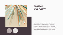 Spectrum Project Timeline Presentation slide 3