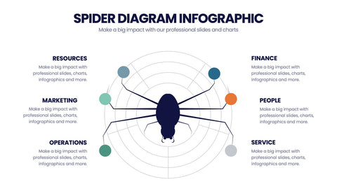 Spider Diagram Infographics