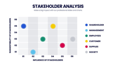 Stakeholder Analysis Infographics