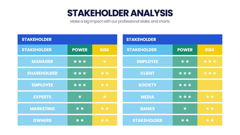 Stakeholder Analysis Infographics