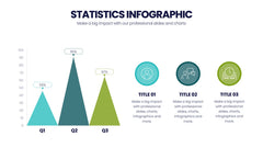 Statistics Infographics slide 2