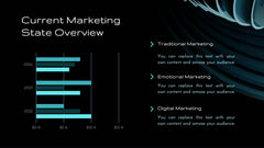 Stellar Marketing Campaign Presentation slide 3
