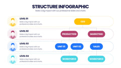 Structure Infographics slide 12