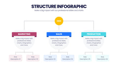 Structure Infographics slide 14