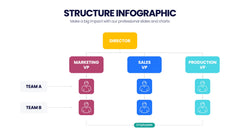 Structure Infographics slide 16