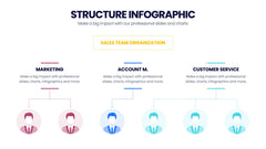 Structure Infographics slide 17