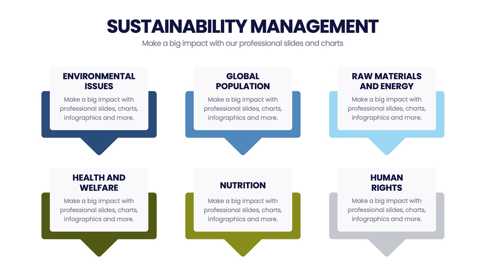 Sustainability Management Infographics