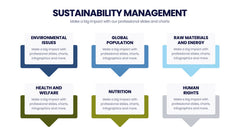 Sustainability Management Infographics