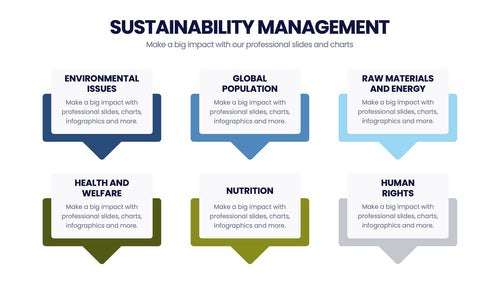 Sustainability Management Infographics