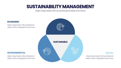 Sustainability Management Infographics
