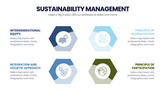 Sustainability Management Infographics slide 12