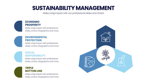 Sustainability Management Infographics