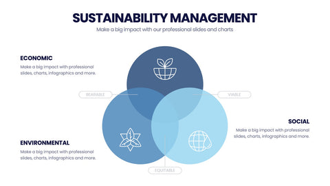 Sustainability Management Infographics