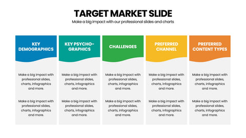 Target Market Infographics