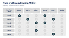 Task and Role Allocation Matrix Presentation slide 2