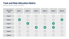 Task and Role Allocation Matrix Presentation slide 3