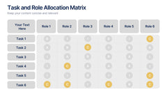 Task and Role Allocation Matrix Presentation slide 4