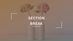 Thorn Minimal Presentation Template