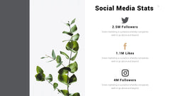 Thorn Minimal Presentation Template