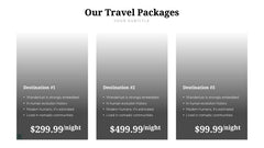 Travel Infographics slide 5